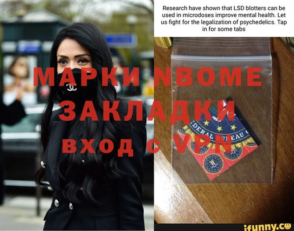индика Богородицк