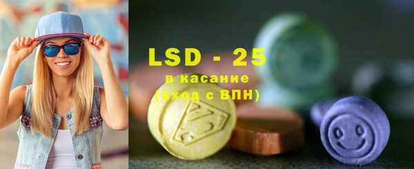 индика Богородицк