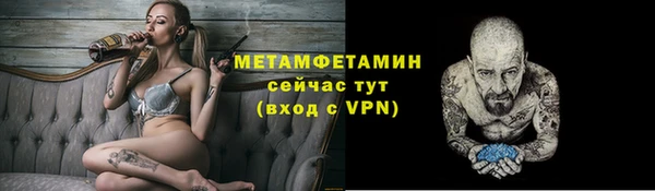 индика Богородицк
