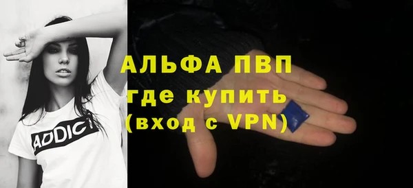 индика Богородицк