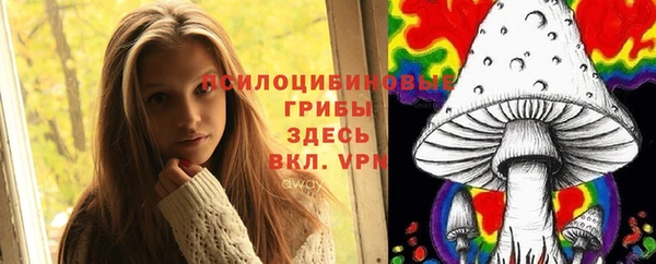 гидропоника Бугульма
